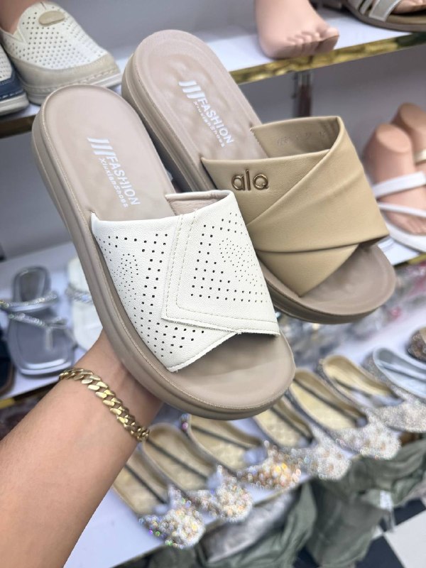 Fashion shippak